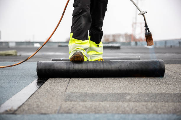 Best Asphalt Shingles Roofing  in Donora, PA
